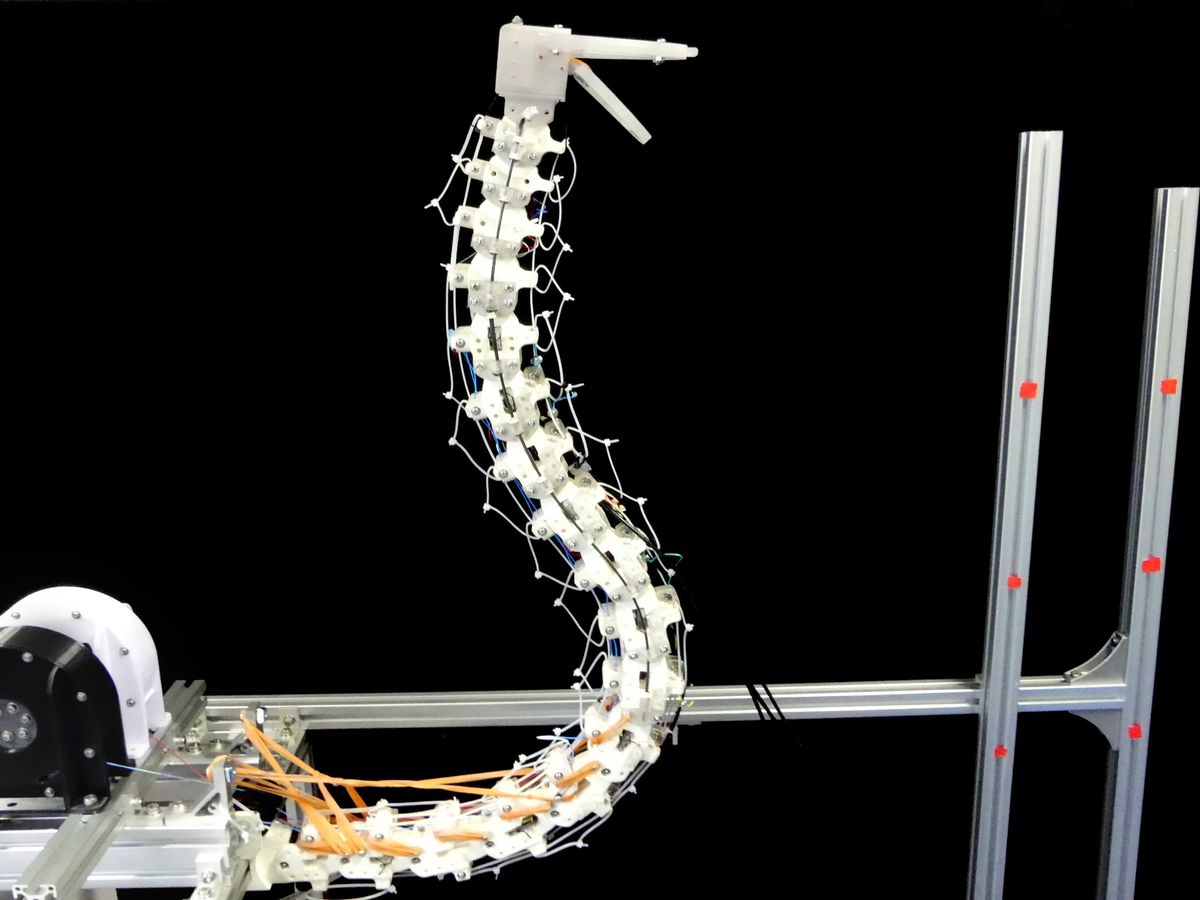 A robotic spine structure that ends in a bird like head and open beak extends out and then up vertically from lab equipment.