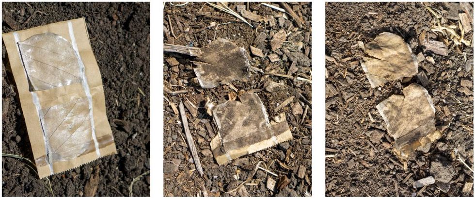 A series of three images showing the leaf heater progressively decomposing into dirt