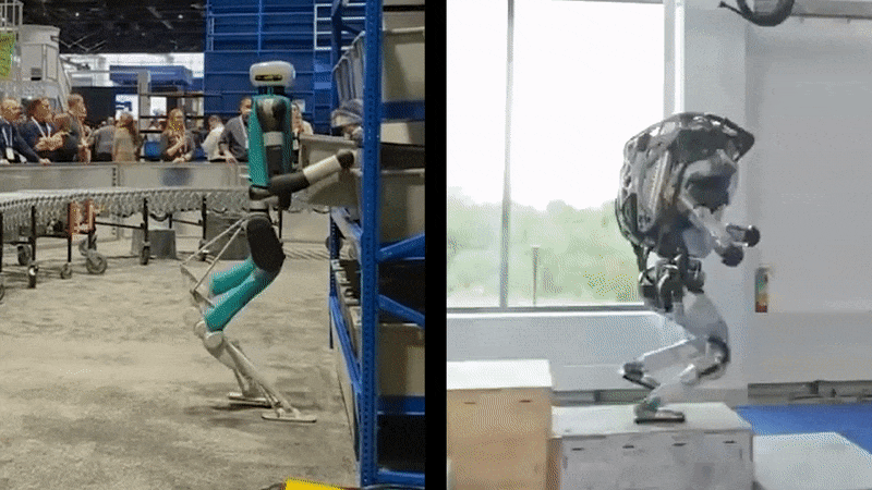 A split screen animated GIF showing humanoid robots from Agility Robotics and Boston Dynamics falling on their faces