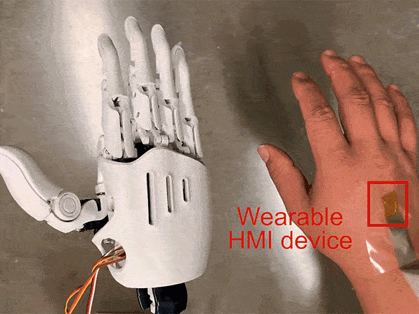 A stretchy, wearable patch on a human hand (right) controls a robot hand (left).