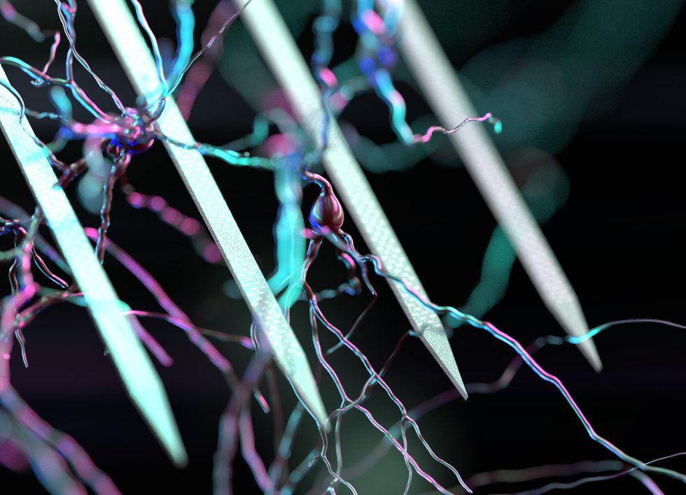 A tangled web of wires represents a small portion of the 10, 000 or so electrodes being hooked up to brain tissue so researchers can get a better sense of how the brain works.