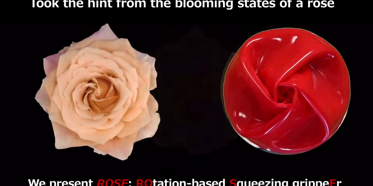 You are currently viewing Video Friday: ROSE – IEEE Spectrum