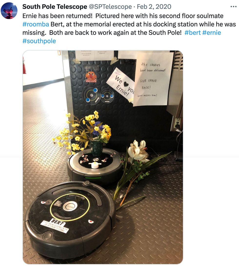 A Twitter post shows two roombas, flowers, and signs.