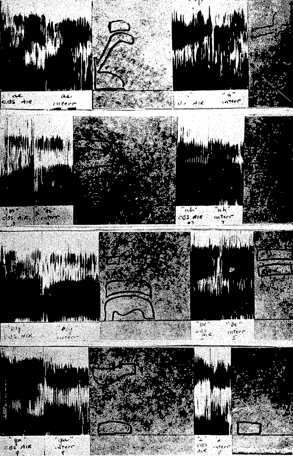 A variety of graphs depict spectrograms of audio samples of speech.Info