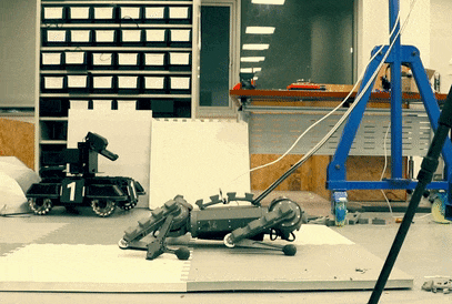 A video clip showing a quadrupedal robot with shin extensions standing up on its hind legs