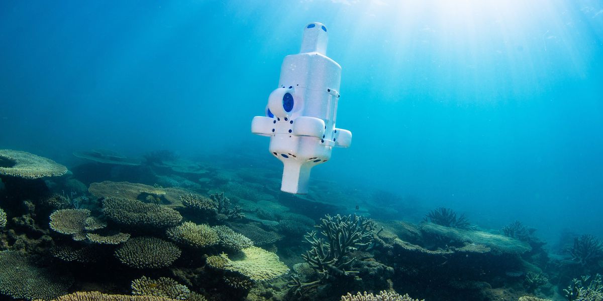 Small Deep Sea Drone Explores Shipwrecks and Coral Reefs