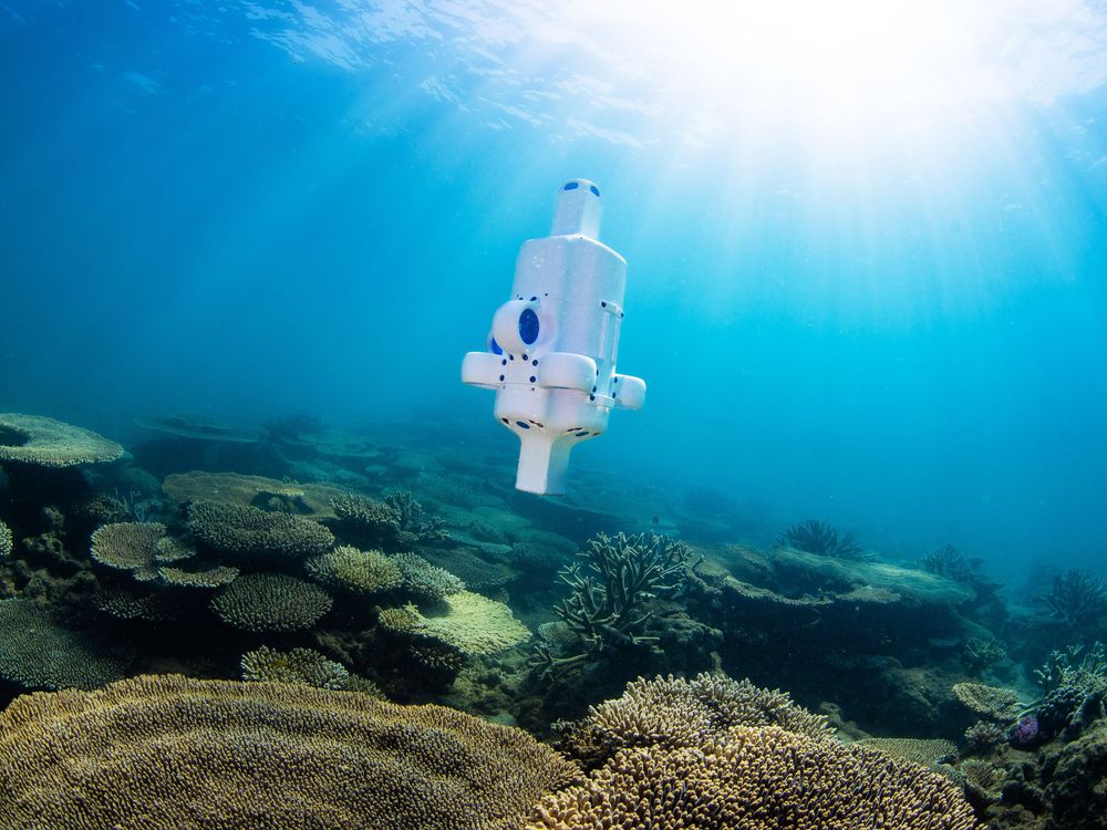 a white box looking robot floating above a coral reef