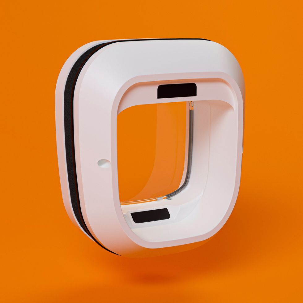 A white cat door with rounded edges on an orange background