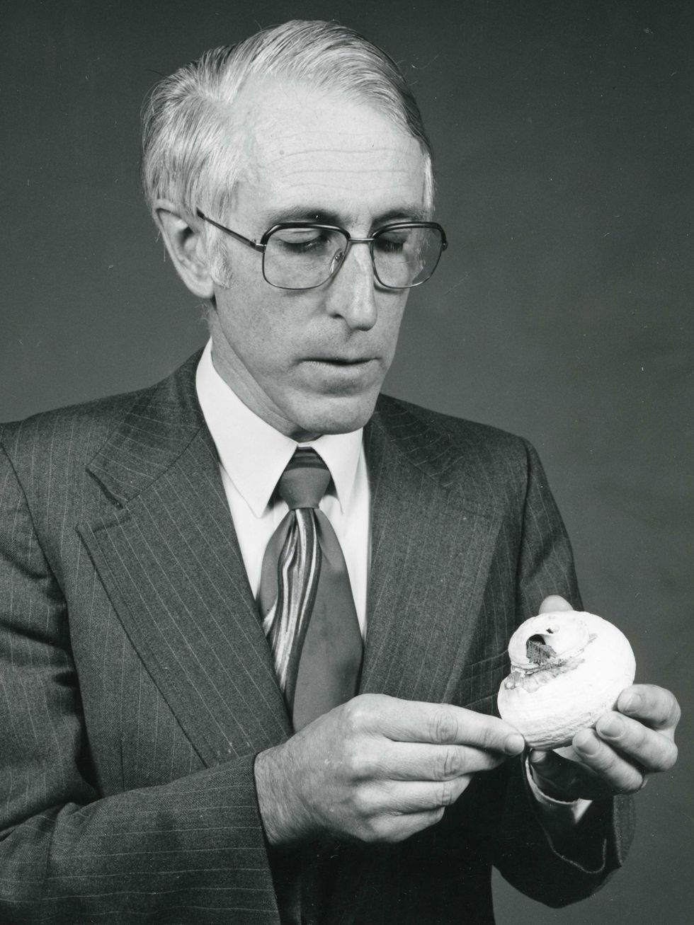 A white-haired man holds a white seashell.