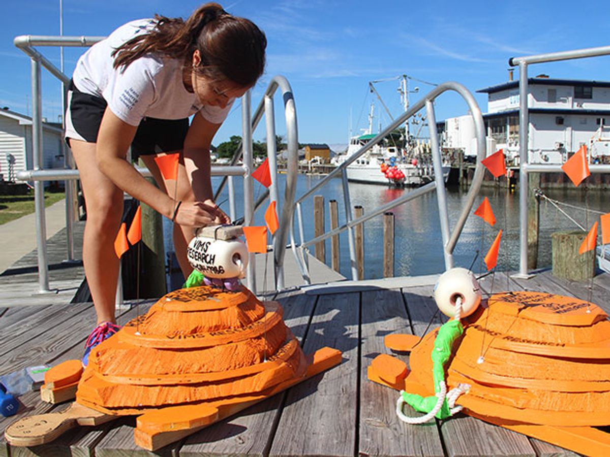A woman attaches GPS buoys to wooden sea turtle replicas.