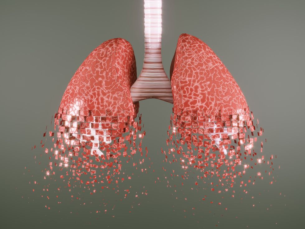 abstract image of lungs breaking up at the bottom against a gray background