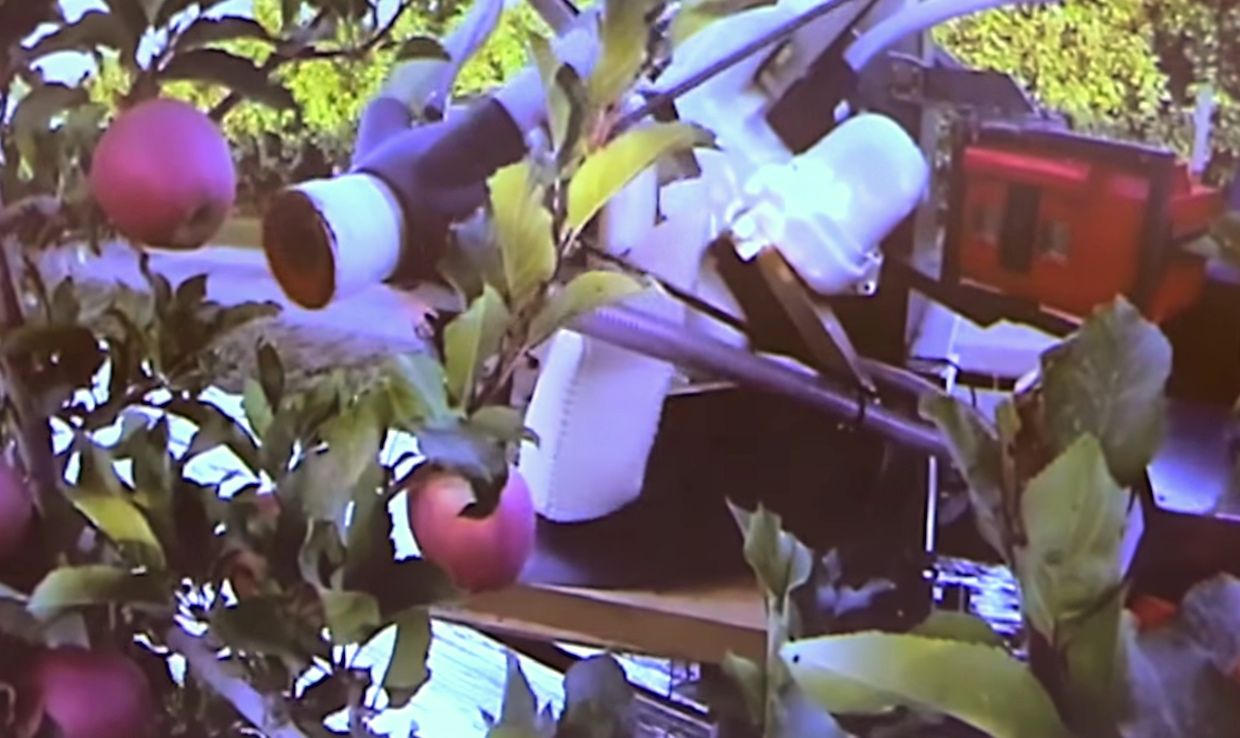Abundant Robotics demonstrates a prototype of its autonomous apple picker, which uses machine vision and a vacuum robot arm.