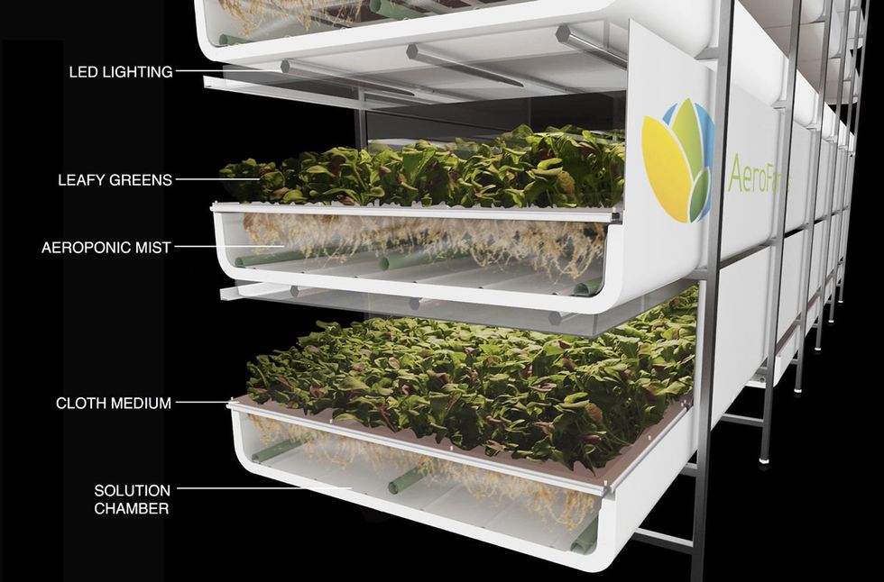 AeroFarmsAeroFarms uses a vertical indoor farming method. To maximize the space available, the plants are grown on trays that are stacked 12 levels up, reaching 9 meters high.