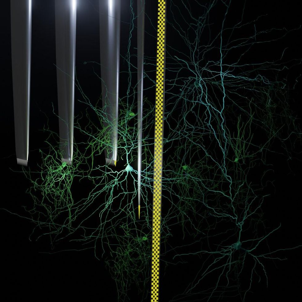 Against a black background, neurons are shown in green and blue. Different metallic shafts come down vertically through the neurons.  