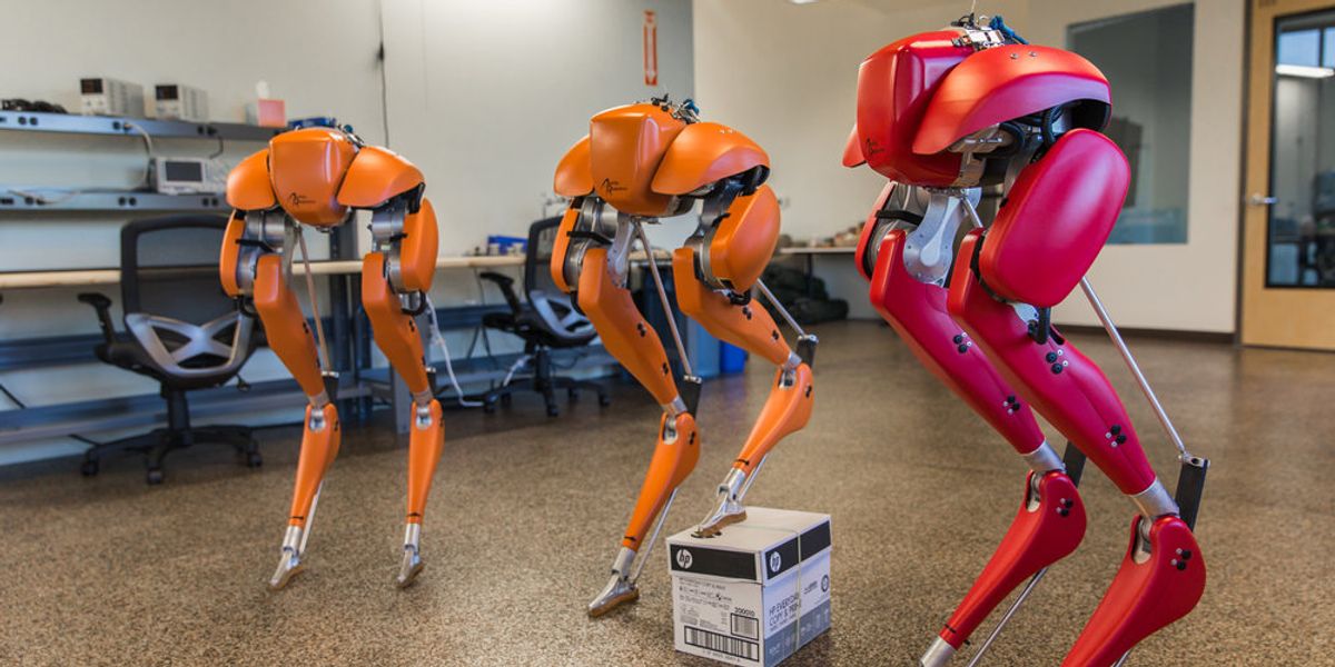 Agility Robotics Raises $8 Million for Commercial Bipedal Robots
