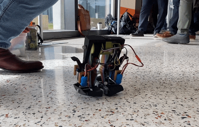 An animated GIF showing a four inch tall robot that consists only of two legs walking jauntily across a conference floor. 