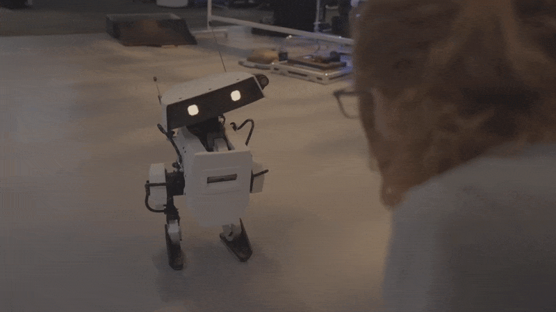 An animated GIF showing a small white legged robot cutely interacting with a researcher in a robotics lab.