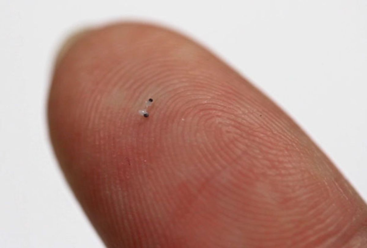 Robotic Micro-Scallops Can Swim Through Your Eyeballs