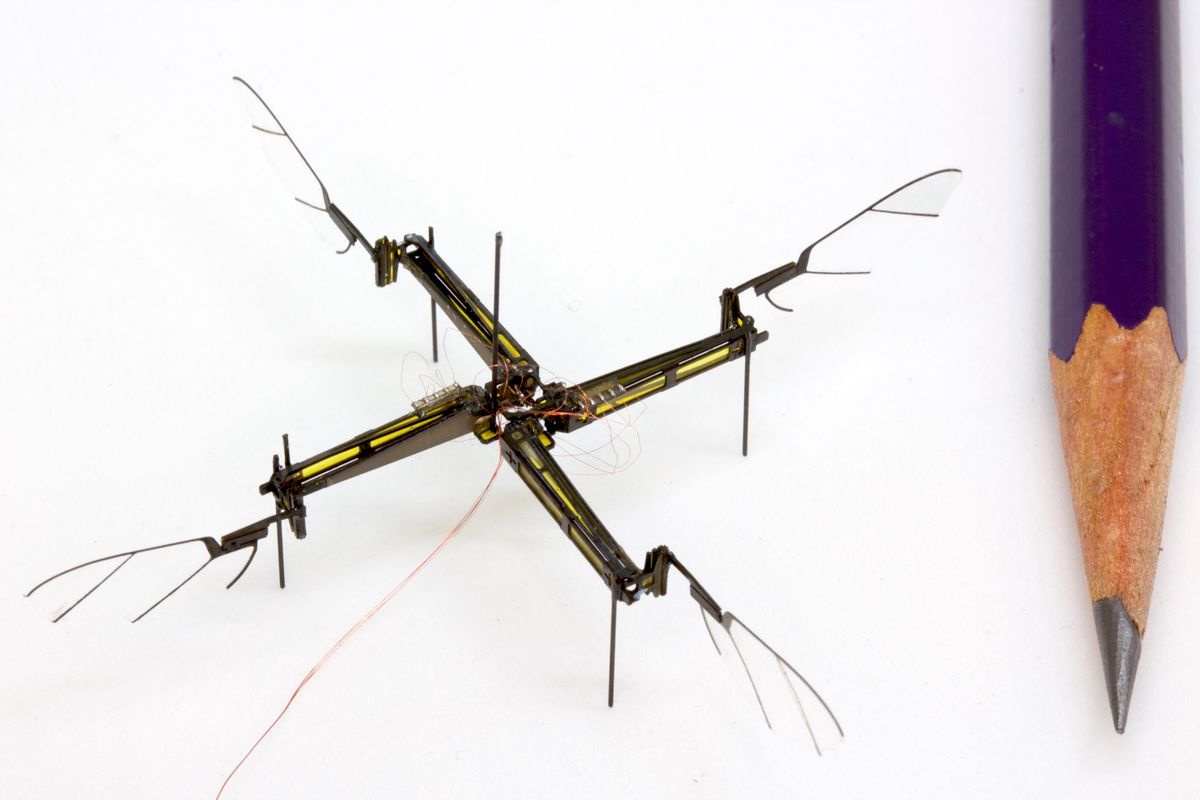 An extra pair of wings makes robot insects much easier to control