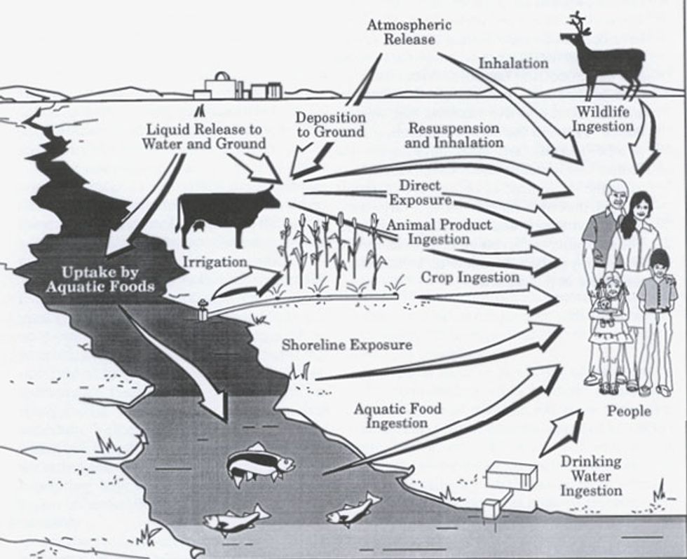 An illustration in a 1994 U.S. government report shows potential pathways to exposure.