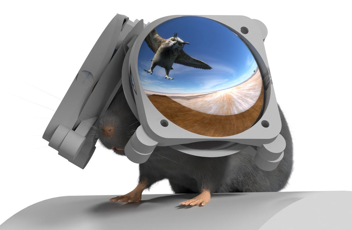 An illustration of a mouse wearing oversized glasses like device which show an owl swooping towards it.