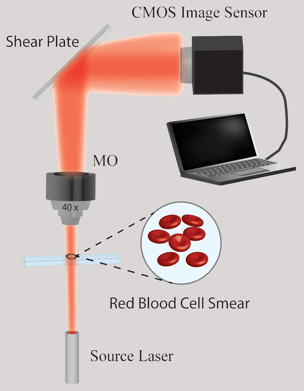 An illustration of how the light emitted from the laser diode illuminates the red blood cells