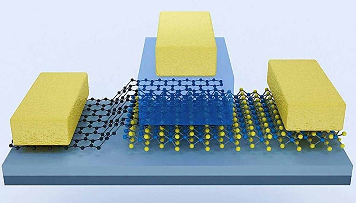 An illustration of the transistor showing graphene (black hexagons) and molybdenum disulfide (blue and yellow layered structure) among other components