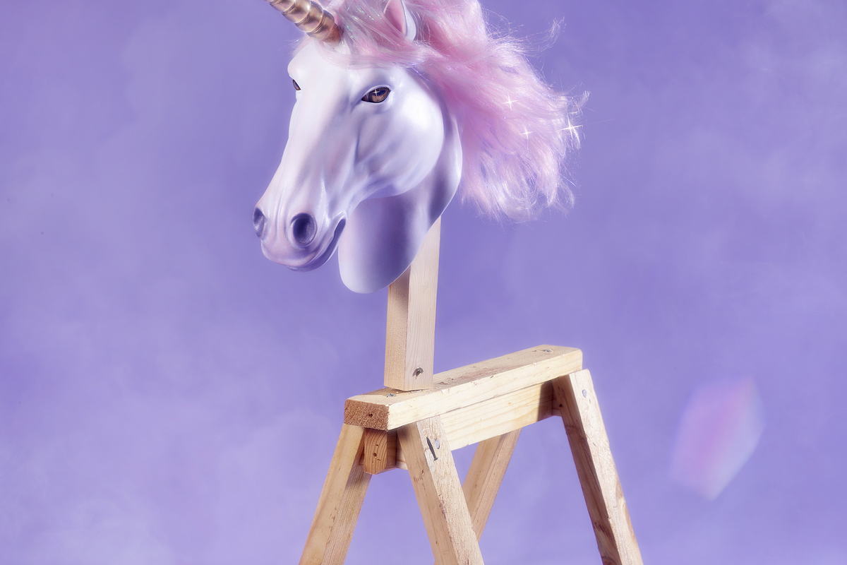 an-image-of-a-sawhorse-with-a-unicorn-he
