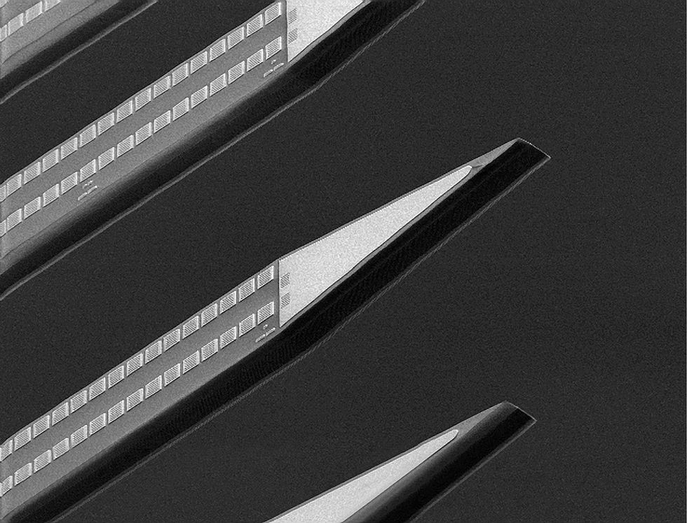 An image produced by a scanning electron microscope shows several long and thin objects with a pattern of squares along most of their lengths and pointed tips. 