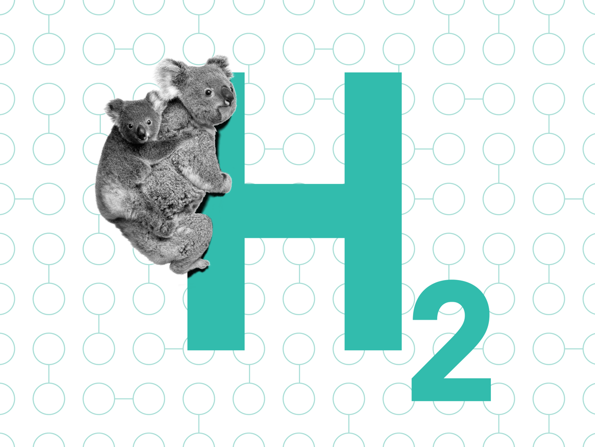 And illustration of H2 with koalas on the left side
