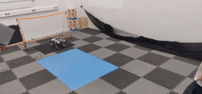 Animated gif of a human kicking a soft football (soccer ball) at a small quadruped robot, which leaps to successfully block the shot