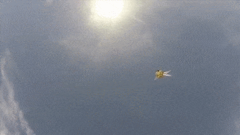 animated gif showing landing