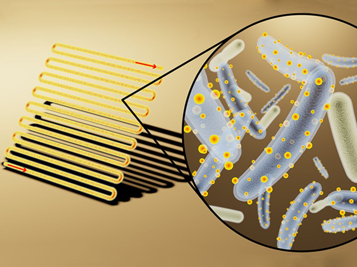 Artist's rendering of bioreactor (left) loaded with bacteria decorated with cadmium sulfide, light-absorbing nanocrystals (middle) to convert light, water and carbon dioxide into useful chemicals (right).