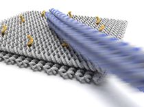 German Scientists Create Ultrafast Robot Arms From DNA