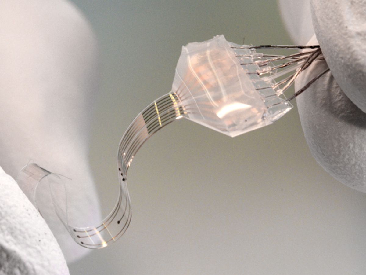 Stretchy Electrodes Enable Long-Lasting Brain Implants