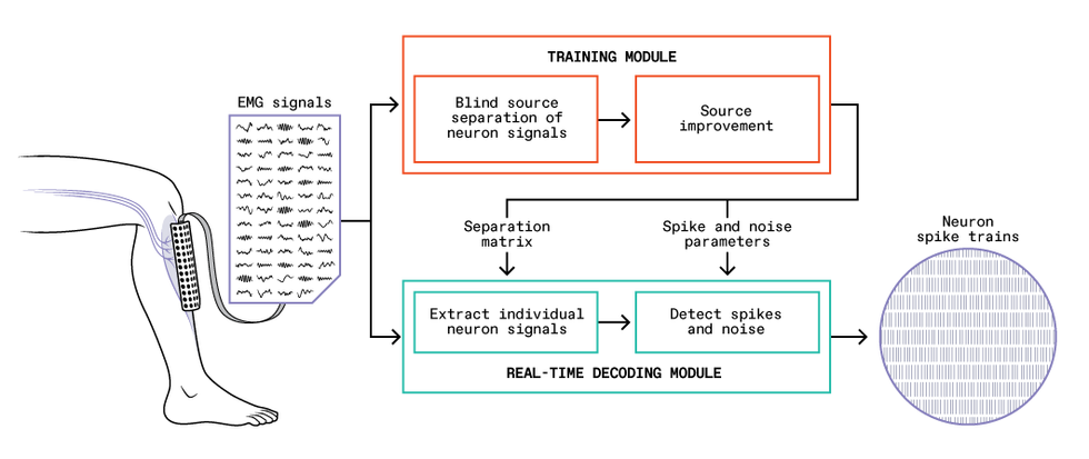 Block diagram showing how the system decodes neural signals read by electromyography (EMG) using a training module and a real-time decoding module.