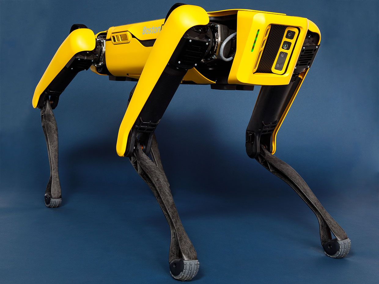gaffel Afskrække squat Boston Dynamics' Spot Robot Dog Goes on Sale - IEEE Spectrum