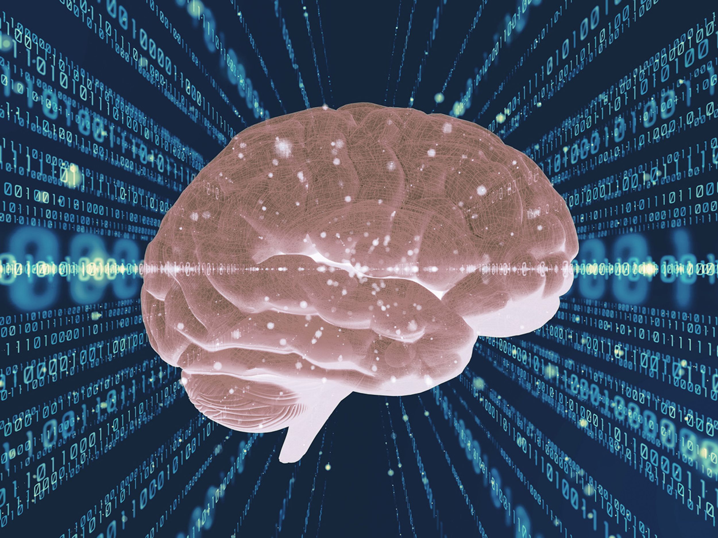 brain and computer code