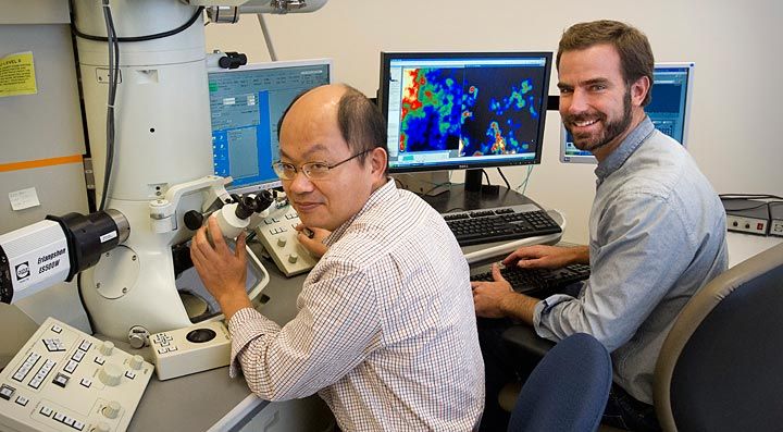 Brookhaven physicists Feng Wang (left) and Jason Graetz examine lithium-ion reactions with a transmission electron microscope (TEM).
