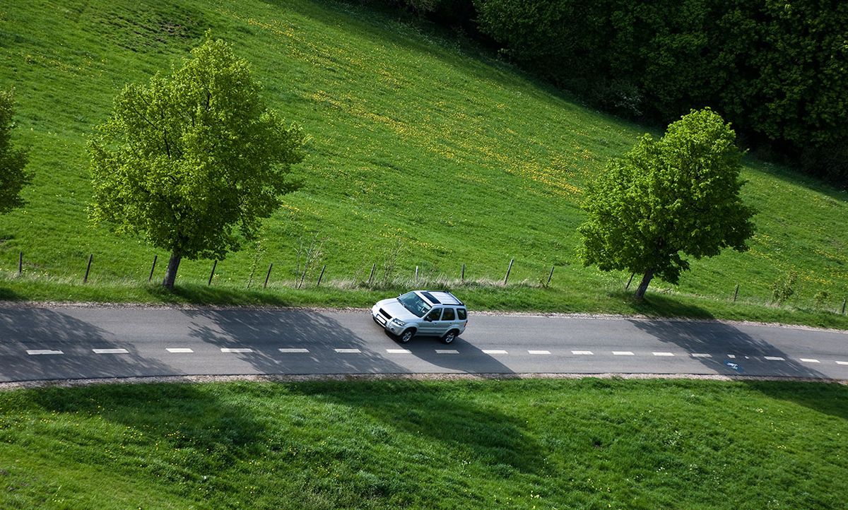 Car on a road with shadows of trees.