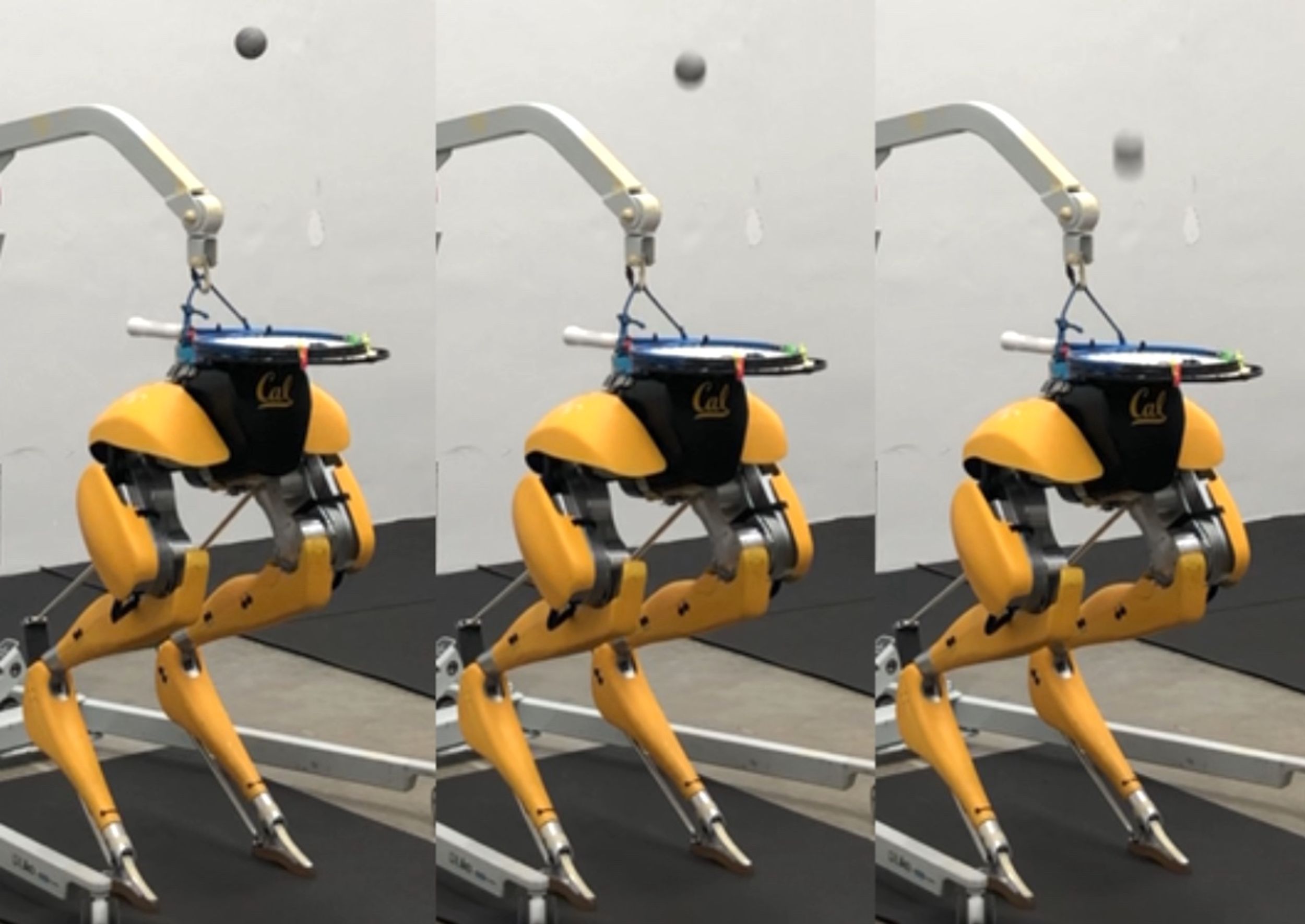 Cassie Cal bipedal robot juggling
