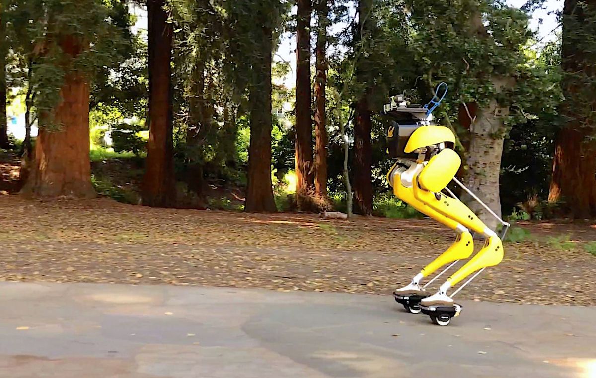 Cassie Cal riding a pair of Hovershoes around the UC Berkeley campus.