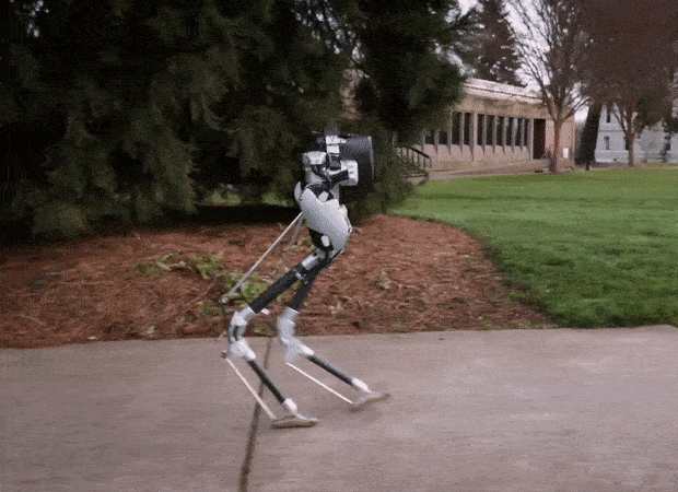 Cassie is a dynamic bipedal robot developed by Agility Robotics