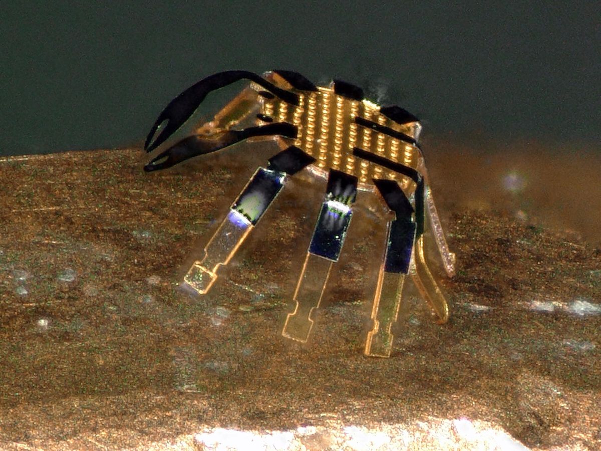 Close-up image of crab shaped robot