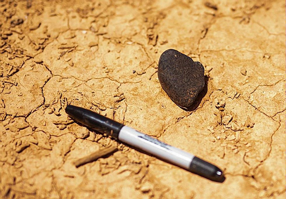 Closeup of the meteorite on the desert floor in Australia, with a pen to show its size.