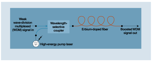 coiled length of erbium-doped fiber