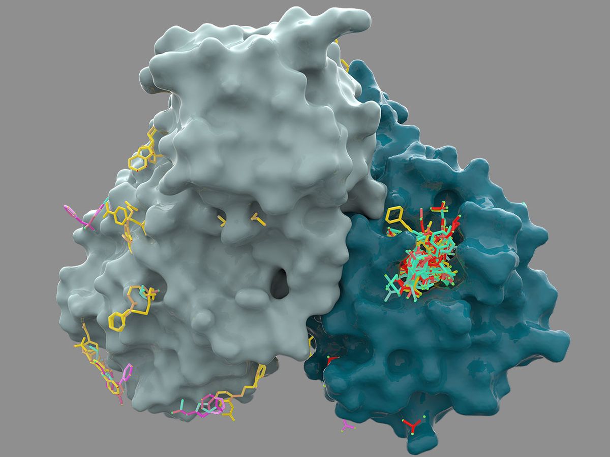 Colorful chemical fragments bind to the main protease of the SARS-CoV-2 virus.