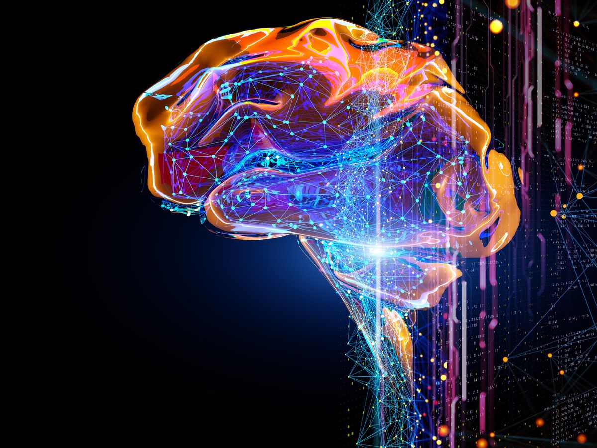 colorful outline of brain on black background