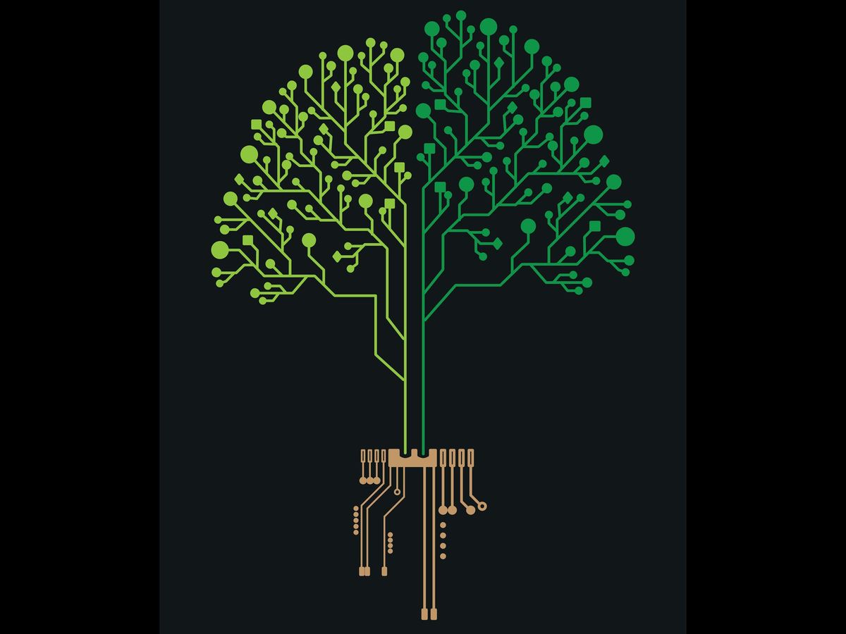 computer circuitry in the shape of a tree against a black background