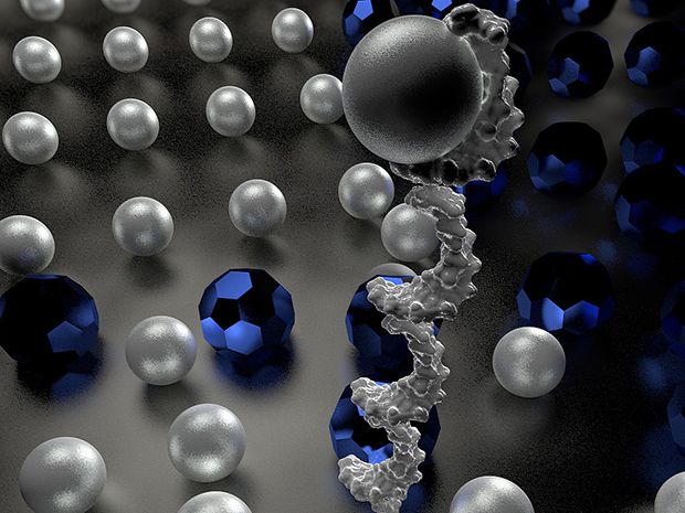 Conceptual illustration of a DNA robot sorting two types of cargo molecules.